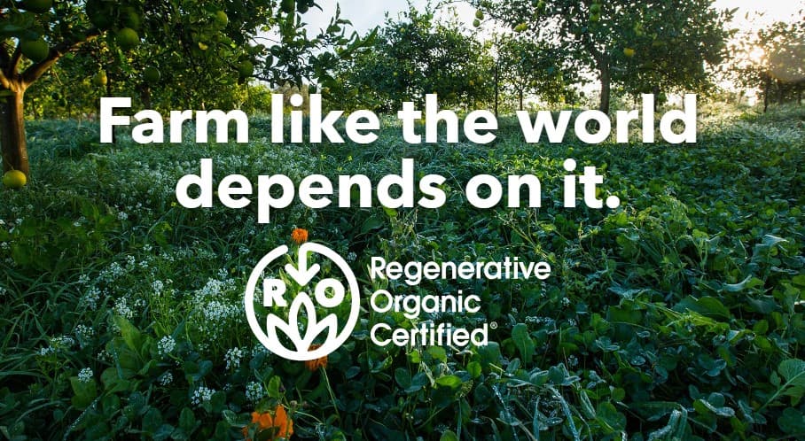 Regenerative organic farming and soil health benefits and steps
