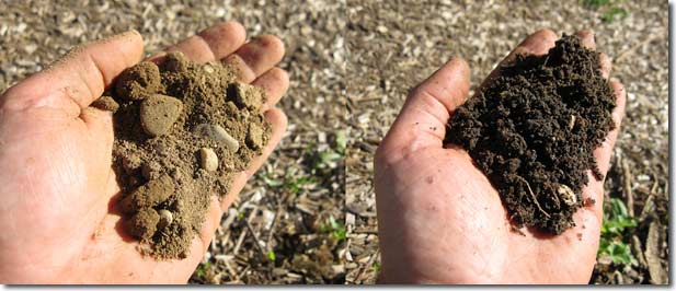 Healthy vs. unhealthy farm and agriculture soil
